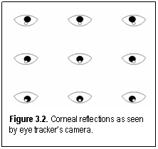 Figure 3.2. Corneal reflections as seen by eye trackers camera.