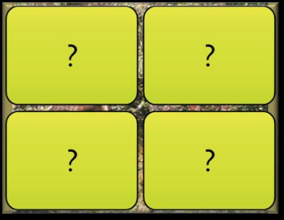 Picture of the Surprise grid